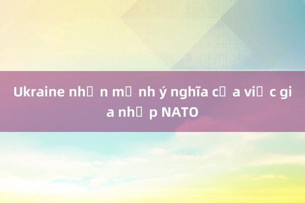 Ukraine nhấn mạnh ý nghĩa của việc gia nhập NATO