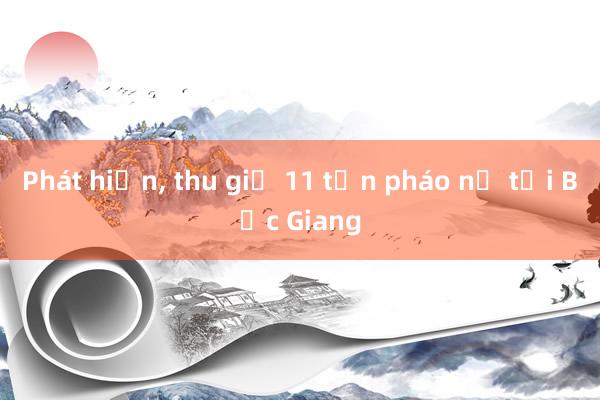 Phát hiện， thu giữ 11 tấn pháo nổ tại Bắc Giang