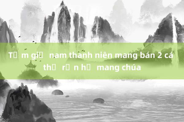 Tạm giữ nam thanh niên mang bán 2 cá thể rắn hổ mang chúa