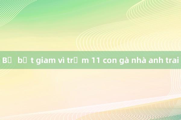 Bị bắt giam vì trộm 11 con gà nhà anh trai